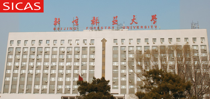 2024 Beijing Forestry University Chinese Government Scholarship (CGS): High-level Student Program Application Guide