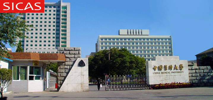 2024 China Medical University Chinese Government Scholarship