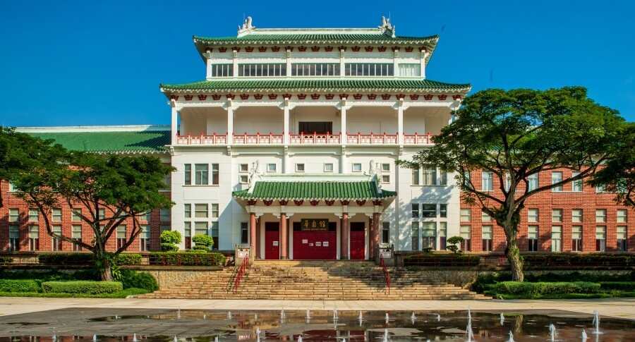 The Golden Window for Learning Chinese – Have You Missed It? ⏰